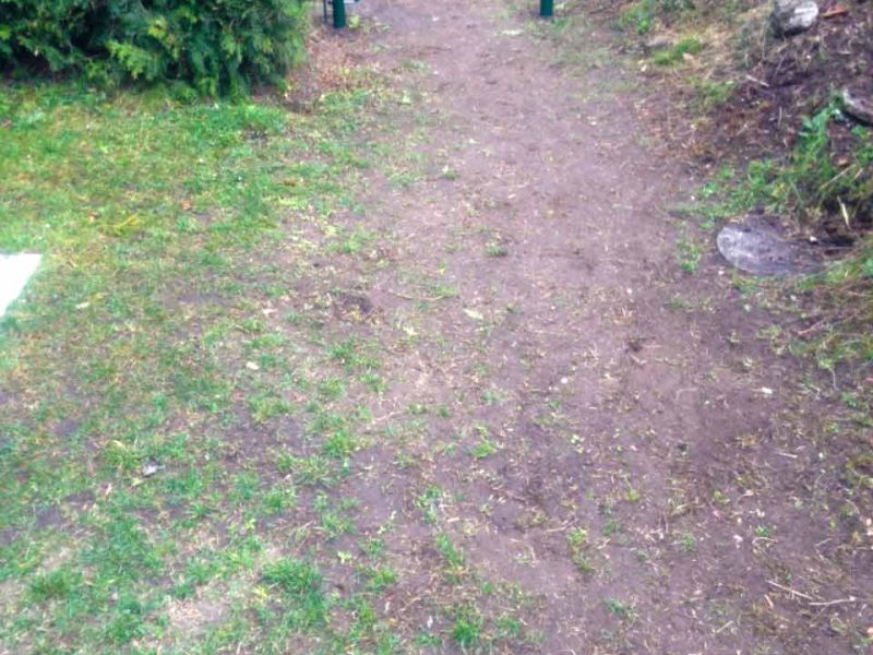 Rasennetz RN640 als Wühlschutz / Buddelschutz für die Haustierhaltung im Garten