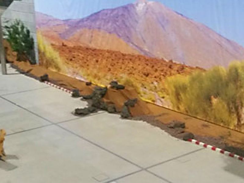 Böschungsmatte Kokos BMK350 mal anders eingesetzt