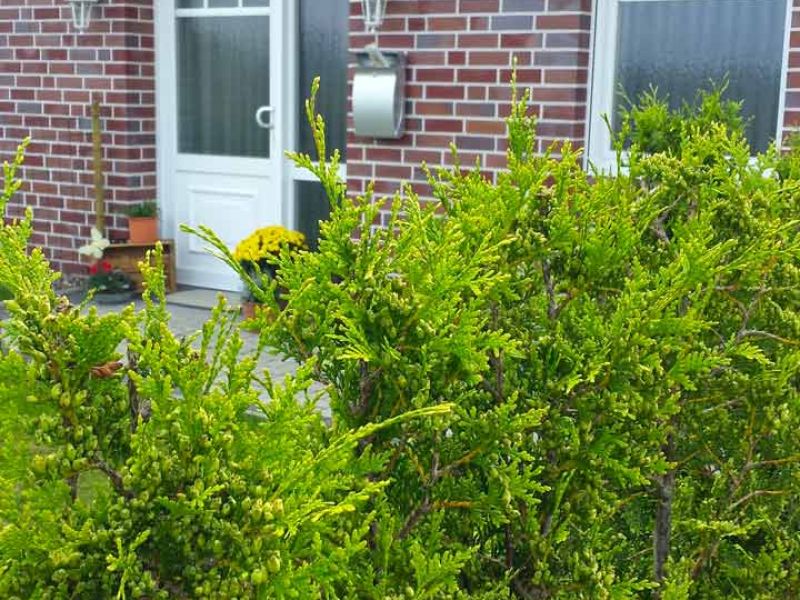 Rasengitterstein RGS35 für einen zusätzlichen PKW Stellplatz auf Rasen