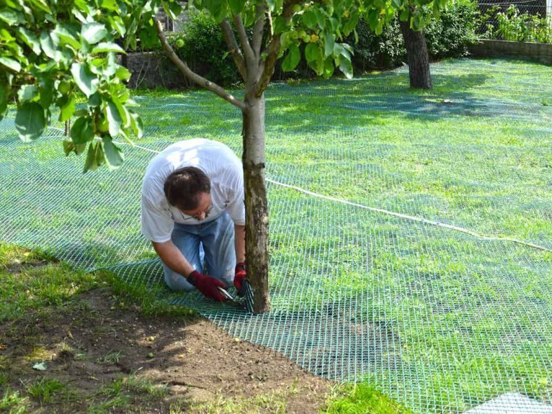 Wühlschutz und Buddelschutz für Hunde im Garten mit dem Rasennetz RN450