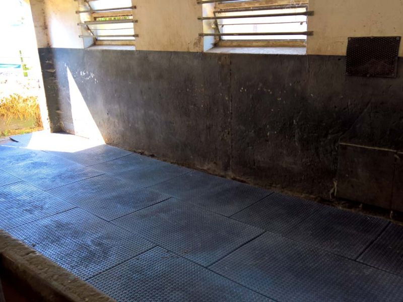 Verlegung von Bodenmatten als Stallboden für einen Pferdestall