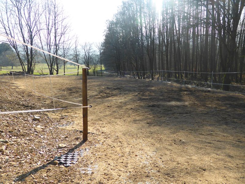 Update zu unserem Artikel "Befestigter Freilauf bei einer Pferdepension mit der Paddockplatte PP60"