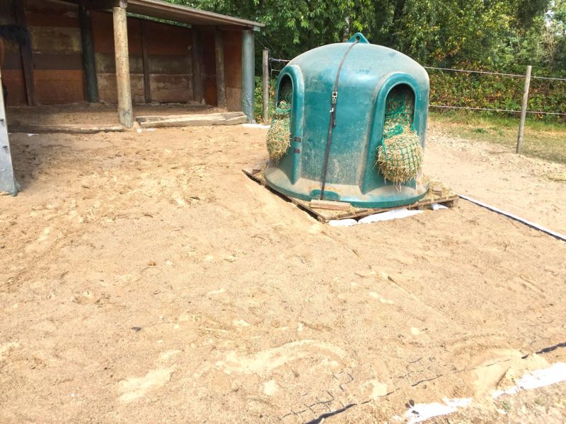 Futterplatz, Paddock und Offenstall - Matschfreie Bodenbefestigung ohne Unterbau