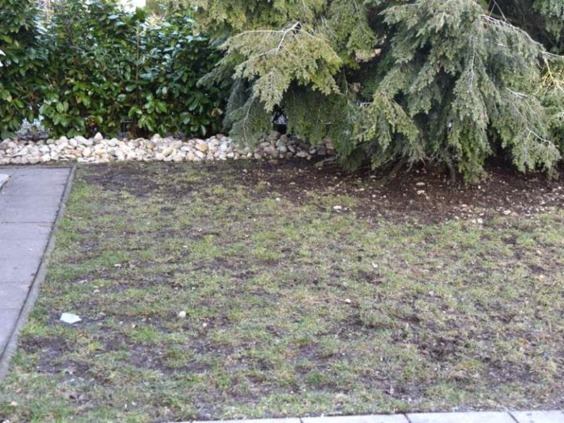 Rasennetz RN 1800 als Wühlschutz, Buddelschutz für den Hundeauslauf im Garten