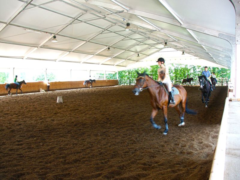 Bodengitter als Paddockplatte, Paddockgitter zur Pferdehaltung und Reitsport