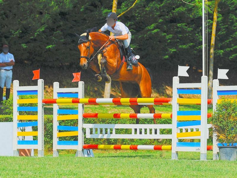 Bodengitter als Paddockplatte, Paddockgitter zur Pferdehaltung und Reitsport