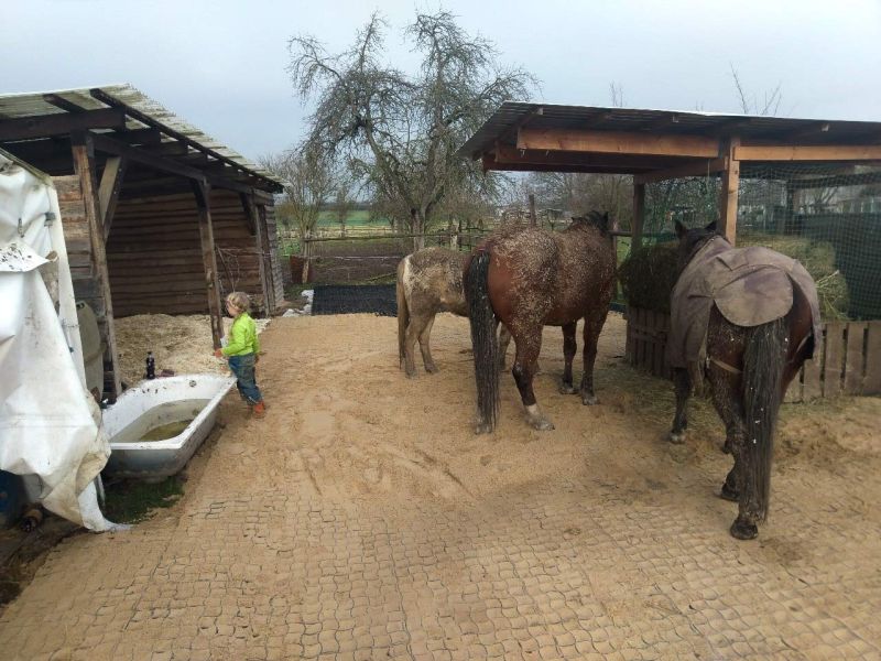 Matsch & Schlamm Ade. Das Paddock versinkt im Matsch, Pferde stehen im Schlamm. Das muss nicht sein, Bodengitter und Trennvlies von Securatek lösen das Problem!