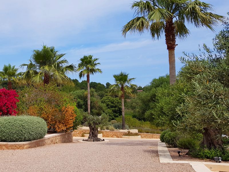 Wie eine Werbung für einen Mallorca Urlaub das kann unser Kiesgitter KG30