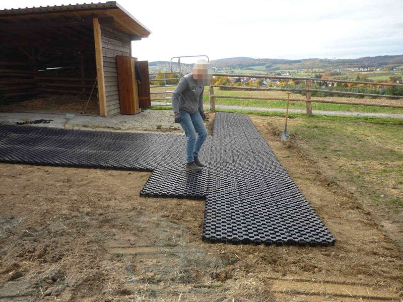 Paddockplatte pp60 für ein Profi Pferde paddock