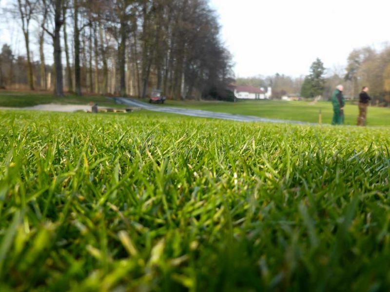 Baustraße zur Teichentschlammung im Golfplatzbau bzw. Golfplatzpflege