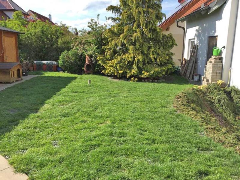 Rasennetz RN 1800 als Wühlschutz, Buddelschutz für den Hundeauslauf im Garten