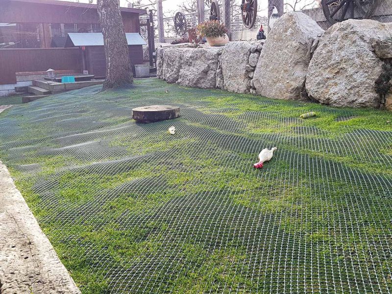 Hunde wühlen & buddeln gerne, leider auch im eigenen Garten. Hier sehen Sie wie man man einen Rasen bzw. Wiese vor Wühl & Buddelattacken effektiv schützt...