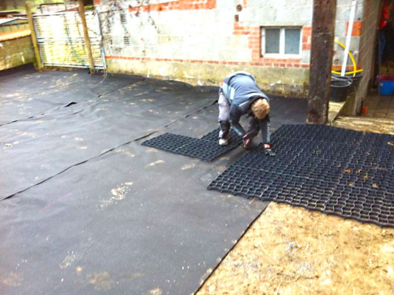 Stabilisierung eines Paddocks mit Hilfe des Bodengitters BG30