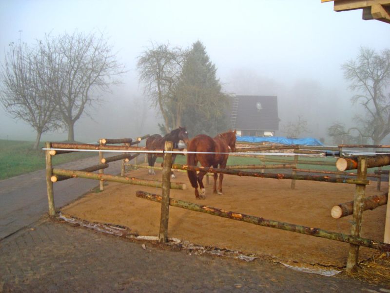 Bodengitter BG50 ohne Unterbau für ein Paddock / Offenstall selber verlegen