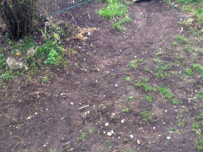 Rasennetz RN640 als Wühlschutz / Buddelschutz für die Haustierhaltung im Garten