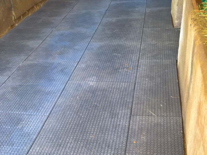 Verlegung von Bodenmatten als Stallboden für einen Pferdestall