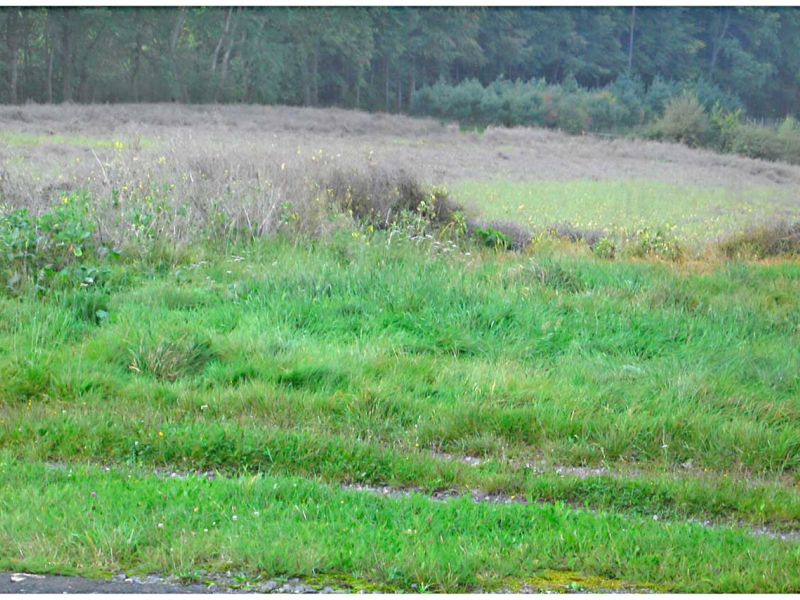 Verlängerung der Auslaufzone einer Flugplatz Landebahn mit dem Bodengitter BG50