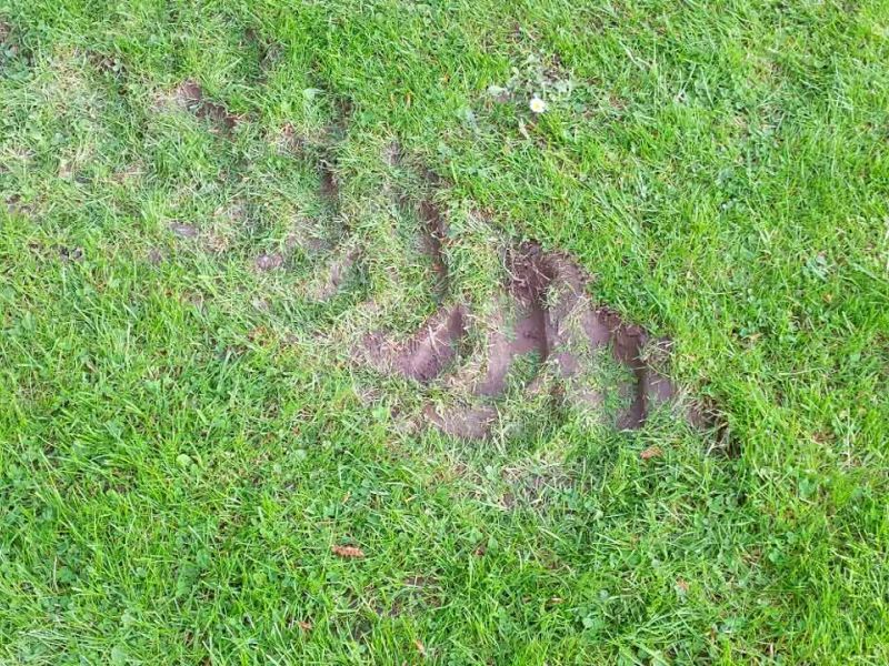 Fahrplatten zum Schutz des Rasen im Schlosspark Heidelberg für ein Event