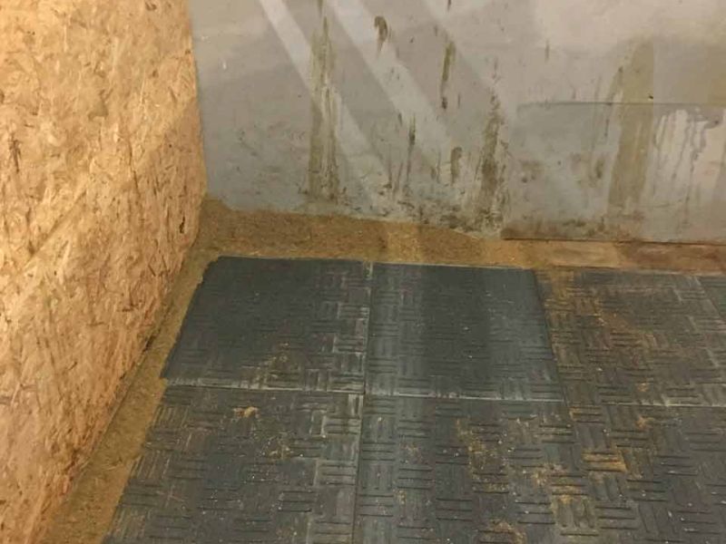 Stallmatten zur Verbesserung des Stallklima und Vereinfachung der Stallpflege