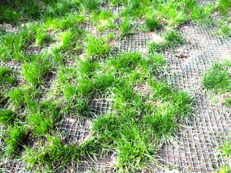 Sie möchten nicht das ihre Hunde im Garten den Rasen durchwühlen od. buddeln? Sie wollen das der Rasen ohne Löcher ist? Dann ist das Rasennetz RN zu empfehlen!