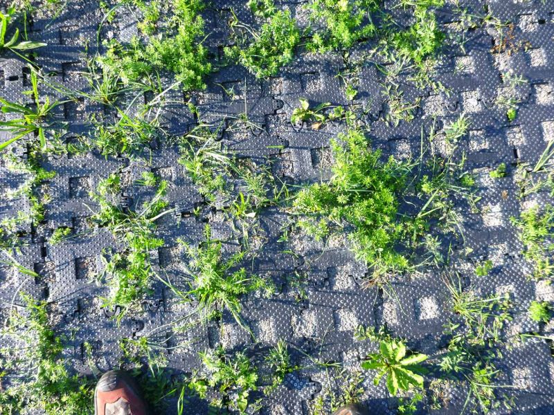 Bodenbefestigung eines Pferdeauslauf mit Weidezelt und Futterplatz