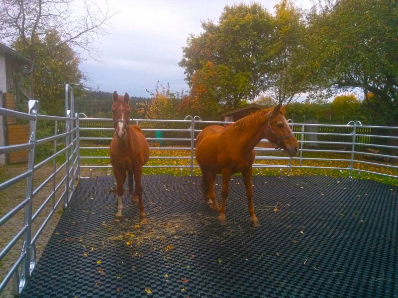 Verwandlung von 80m² Rasenfläche in ein matschfreies Pferdepaddock