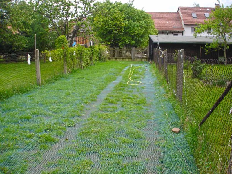 Rasennetz als Wühlschutz und Buddelschutz für Hühner in der Freilandhaltung