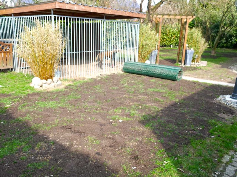 Hundebesitzer aufgepasst! Nie mehr Löcher im Garten, Wiese, und Rasen durch Wühlen & Buddeln mit dem Rasennetz RN