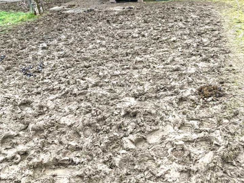 Mit den Paddockplatten PP60 ein Pferdepaddock im Winter ohne Matsch bauen