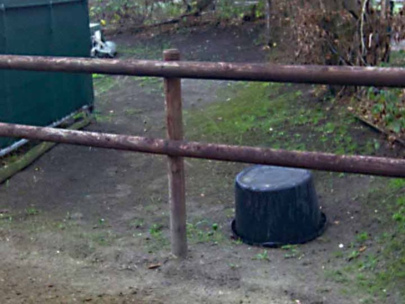 Verlegung des Bodengitter BG30 ohne Unterbau für ein Pferde Paddock / Offenstall