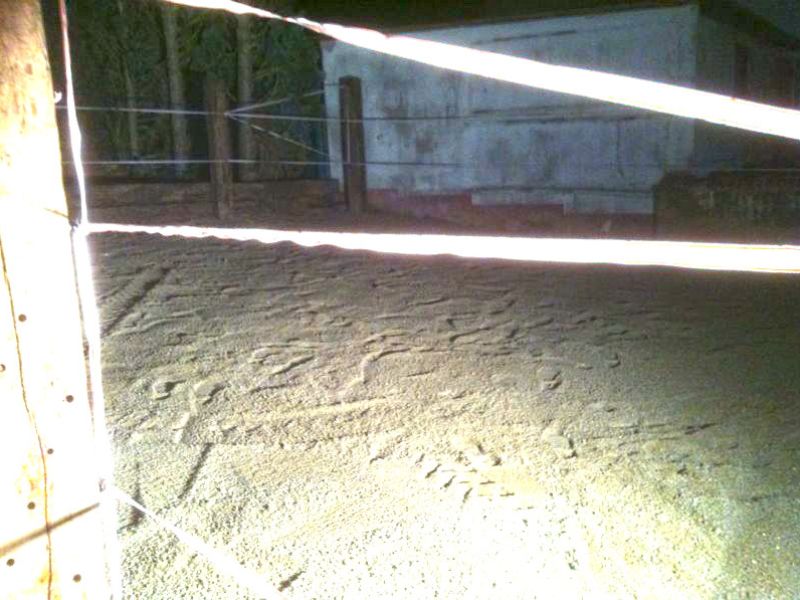 Stabilisierung eines Paddocks mit Hilfe des Bodengitters BG30