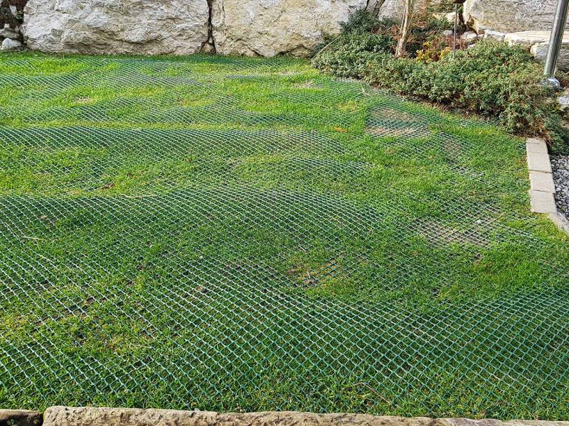 Hunde wühlen & buddeln gerne, leider auch im eigenen Garten. Hier sehen Sie wie man man einen Rasen bzw. Wiese vor Wühl & Buddelattacken effektiv schützt...