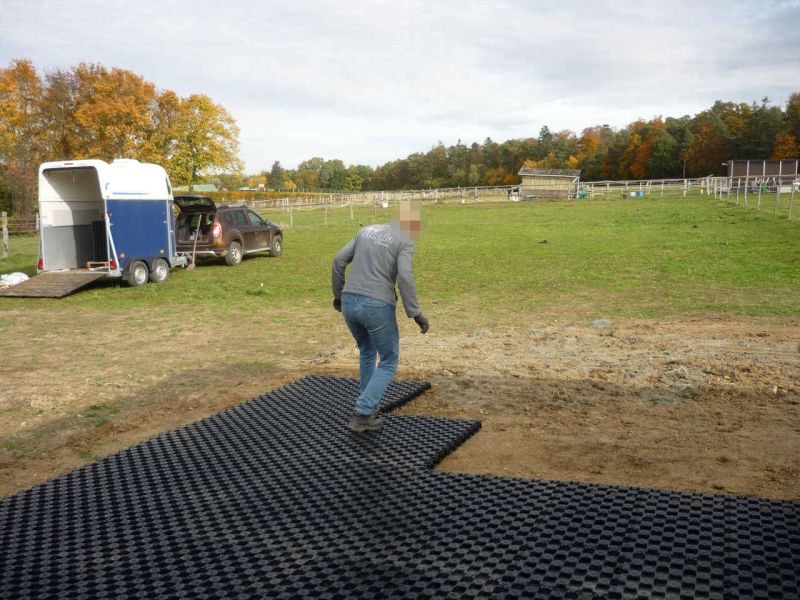 Paddockplatte pp60 für ein Profi Pferde paddock