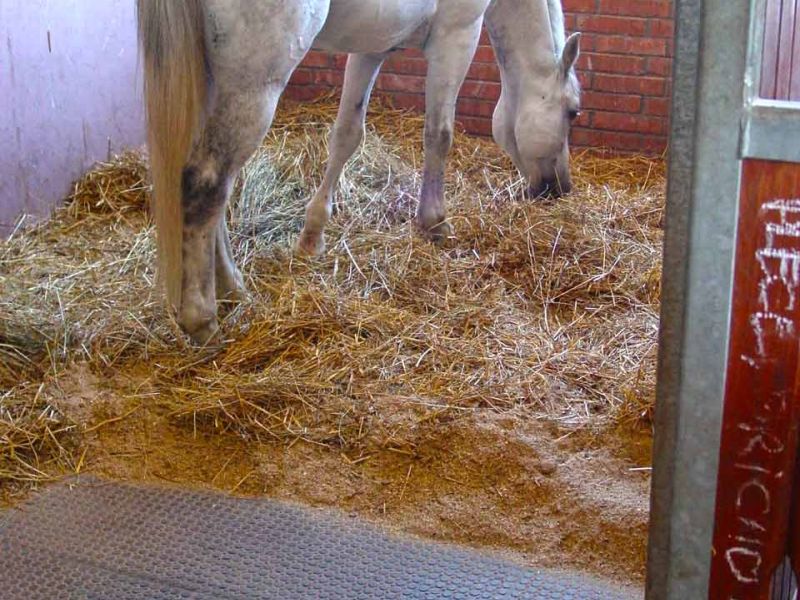 Trittfeste und rutschhemmende Bodenmatten als Stallmatte für Pferdeboxen und Pferdestall