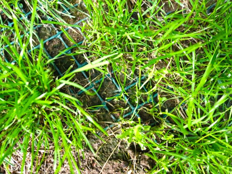 Sie möchten nicht das ihre Hunde im Garten den Rasen durchwühlen od. buddeln? Sie wollen das der Rasen ohne Löcher ist? Dann ist das Rasennetz RN zu empfehlen!