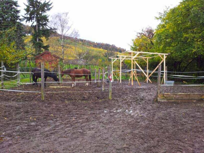 Bodengitter zur Befestigung des Fußweg zum Futterplatz & Unterstand für Pferde