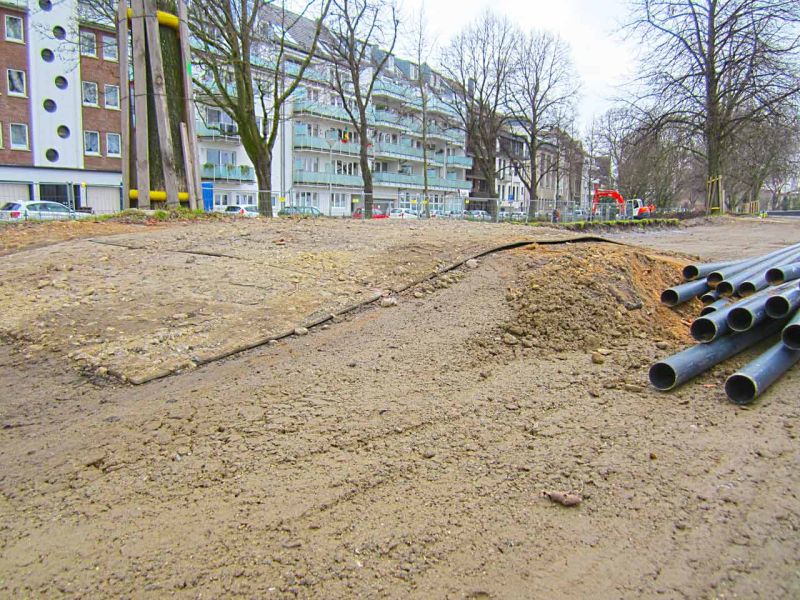 Sanierung einer Deichanlage - Wurzelschutz / Baumwurzelschutz