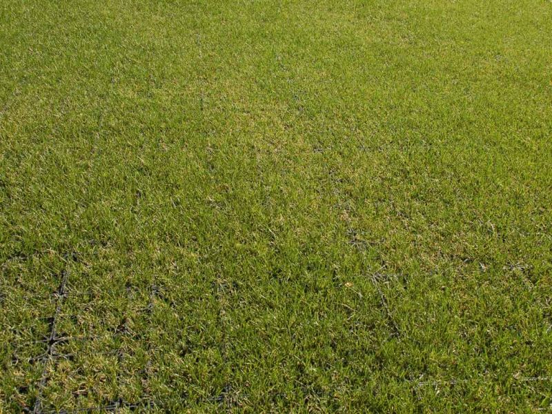 Rasenbefestigung für ein Hotel mit regelmäßigen Veranstaltungen mit dem Rasengitter RG24