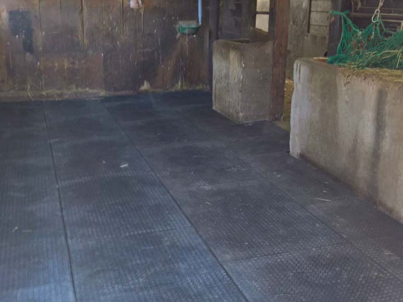 Verlegung von Bodenmatten als Stallboden für einen Pferdestall