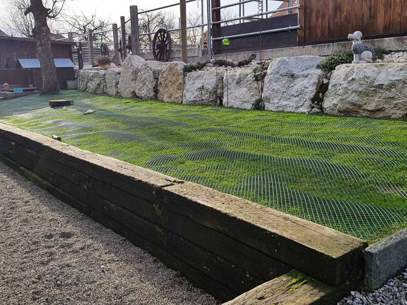 Hunde wühlen & buddeln gerne, leider auch im eigenen Garten. Hier sehen Sie wie man man einen Rasen bzw. Wiese vor Wühl & Buddelattacken effektiv schützt...