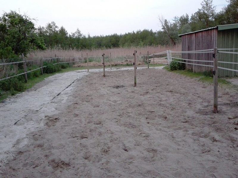 Sie haben ein Paddock, Offenstall, Futterplatz & möchten diesen ohne Erdarbeiten & Unterbau schnell, einfach & maximal befestigen? Klingt wie ein Traum? Hier sehen Sie wie es geht...