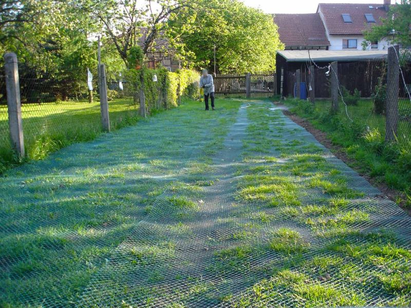 Rasennetz als Wühlschutz und Buddelschutz für Hühner in der Freilandhaltung