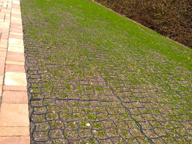 Bodengitter BG50 zur Herstellung eines zusätzlichen begrünten PKW Stellplatz