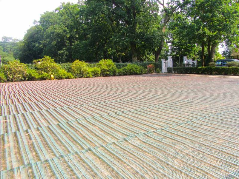 Rasennetz zur Rasenverstärkung eines Rasenparkplatz aus Rollrasen