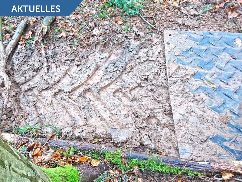 Investitionsprogramm Wald - Bis zu 40% Zuschüsse für Bodenschutzplatten von Securatek - BMEL Positivliste Rentenbank Förderung