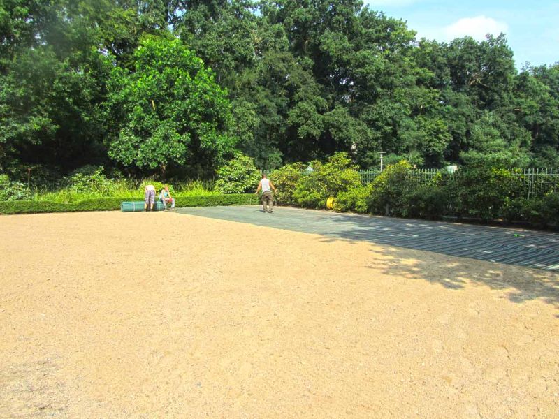 Rasennetz zur Rasenverstärkung eines Rasenparkplatz aus Rollrasen