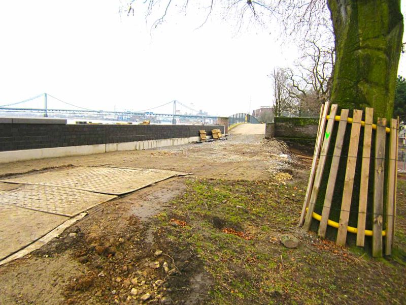 Sanierung einer Deichanlage - Wurzelschutz / Baumwurzelschutz