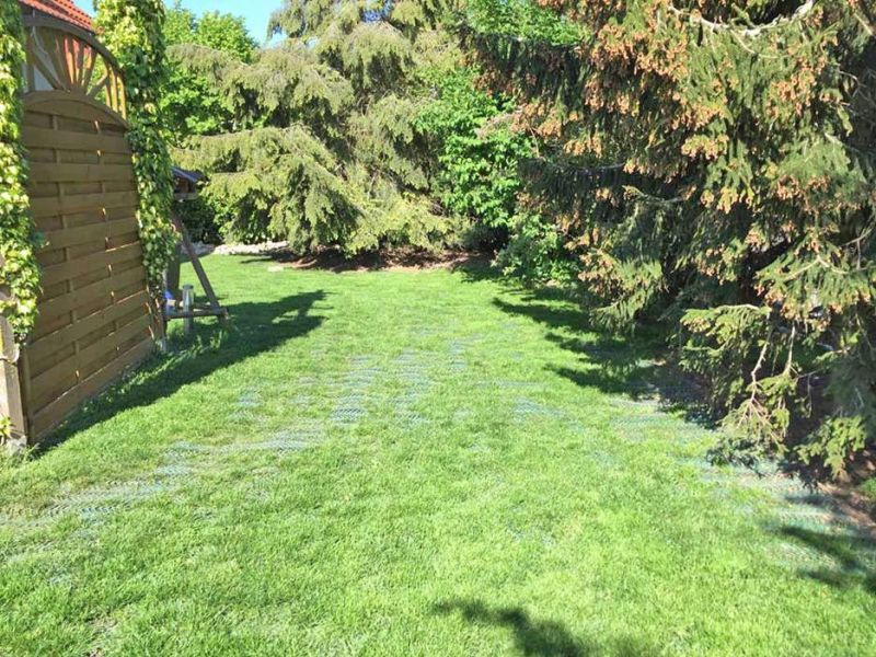 Rasennetz RN 1800 als Wühlschutz, Buddelschutz für den Hundeauslauf im Garten