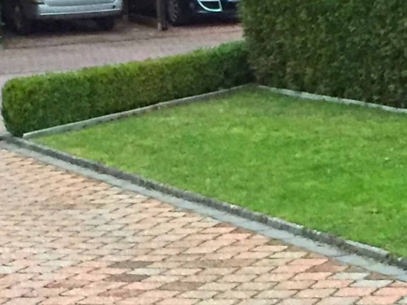 Rasengitter aus Kunststoff ohne Unterbau direkt auf den Rasen verlegen