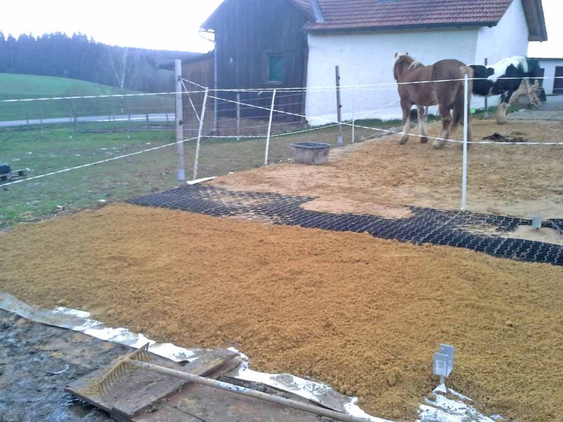 Herstellen eines Pferdepaddock ohne Unterbau mit dem Bodengitter BG30